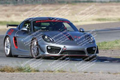 media/May-03-2024-PCA Central Coast (Fri) [[eaa7da0ee1]]/Yellow Group/Session 1 (Grapevine)/